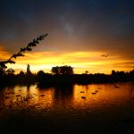 6u娱乐平台的优势分析:为何越来越多玩家选择它? 4wmoah