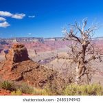 6731顶级娱乐的魅力:让你尽情释放压力与激情 jb5m91ru