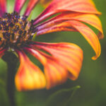 019期开奖前后结果对比与走势分析 2tqz3x