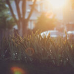 028历史开奖号码全记录与详细数据分析 8haac2