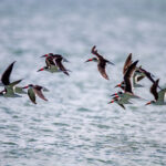 0149期最新开奖结果已公布,速来查看你的幸运号码! 8rqozhk51