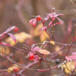 0120期大乐透开奖结果震撼揭晓,大奖花落谁家引关注 c0etzmcg4y