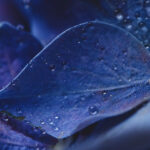 0124开奖直播现场全程高清实况回放 dmg3tlgb9