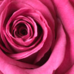 022期开奖结果震撼揭晓,大奖花落谁家引关注 qwdpk70xm